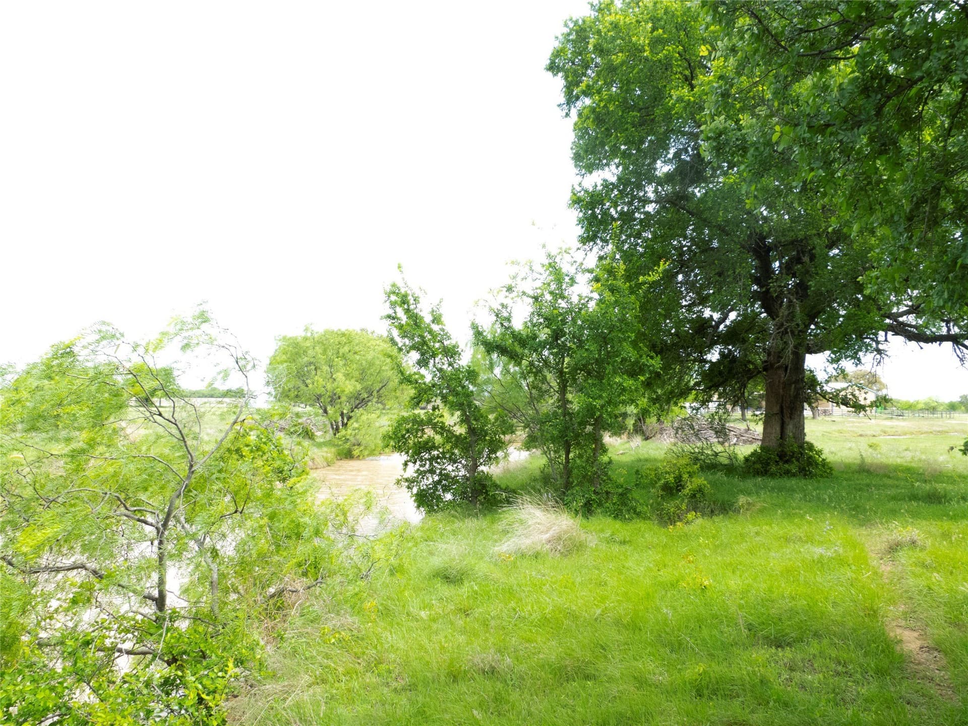 246 acres in Brown County - photo 11