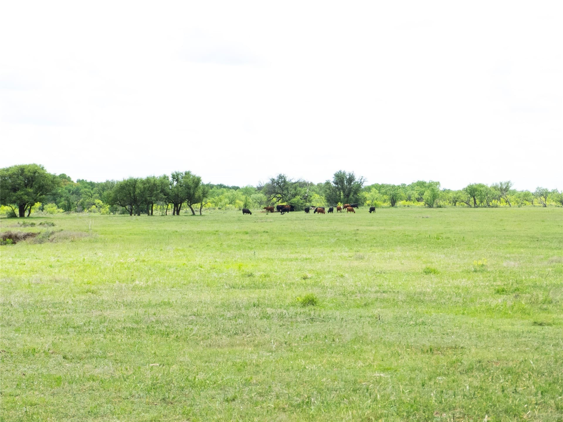 246 acres in Brown County - photo 13