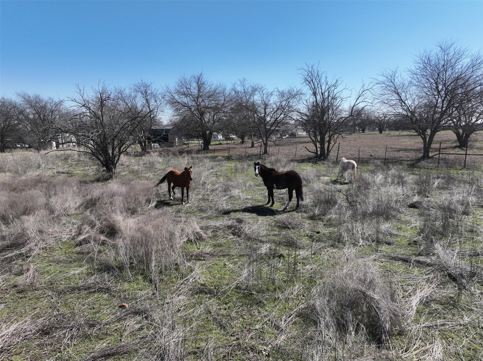5 acres in Johnson County - photo 12