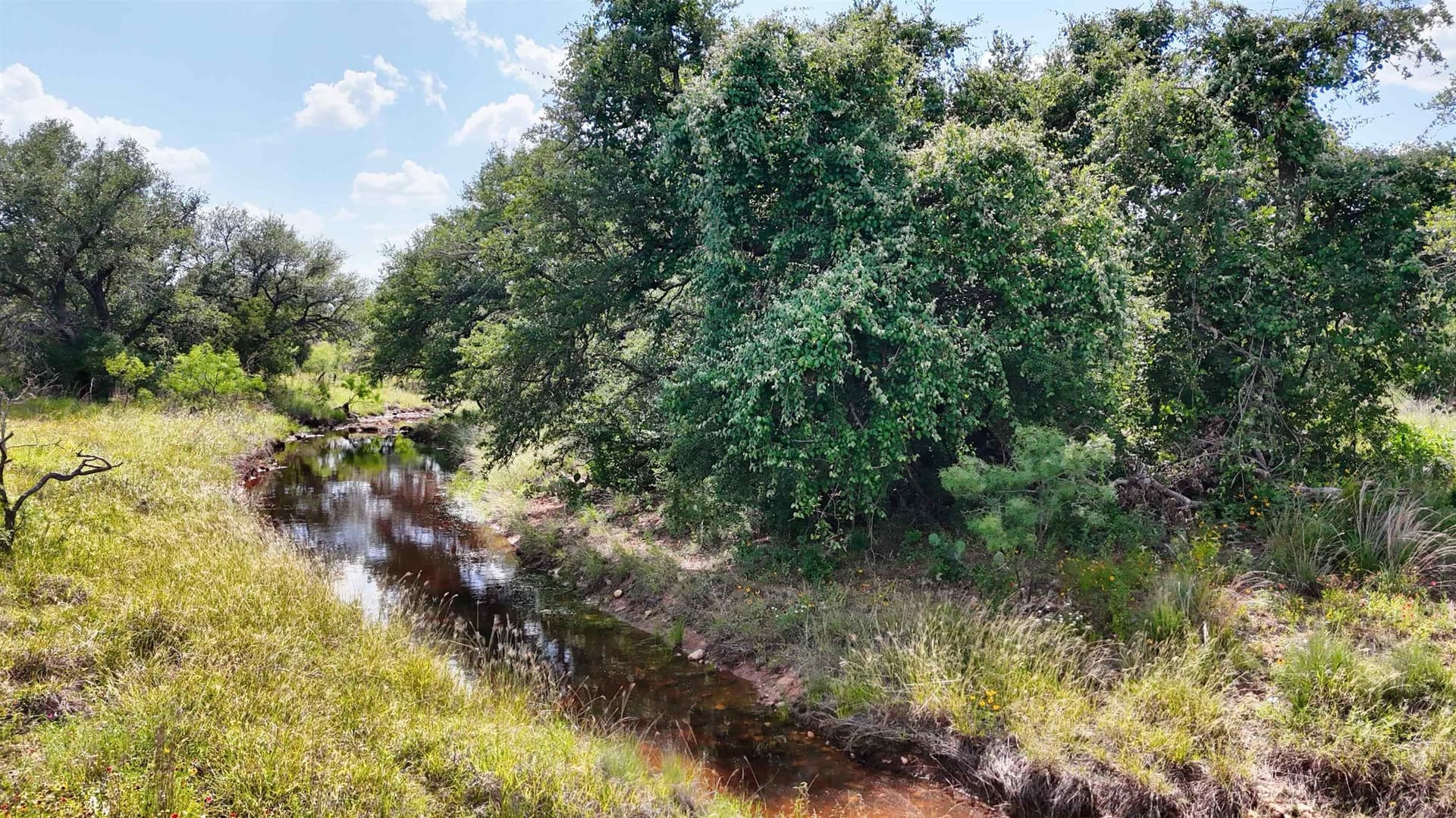 14.6 acres in Mason County - photo 7