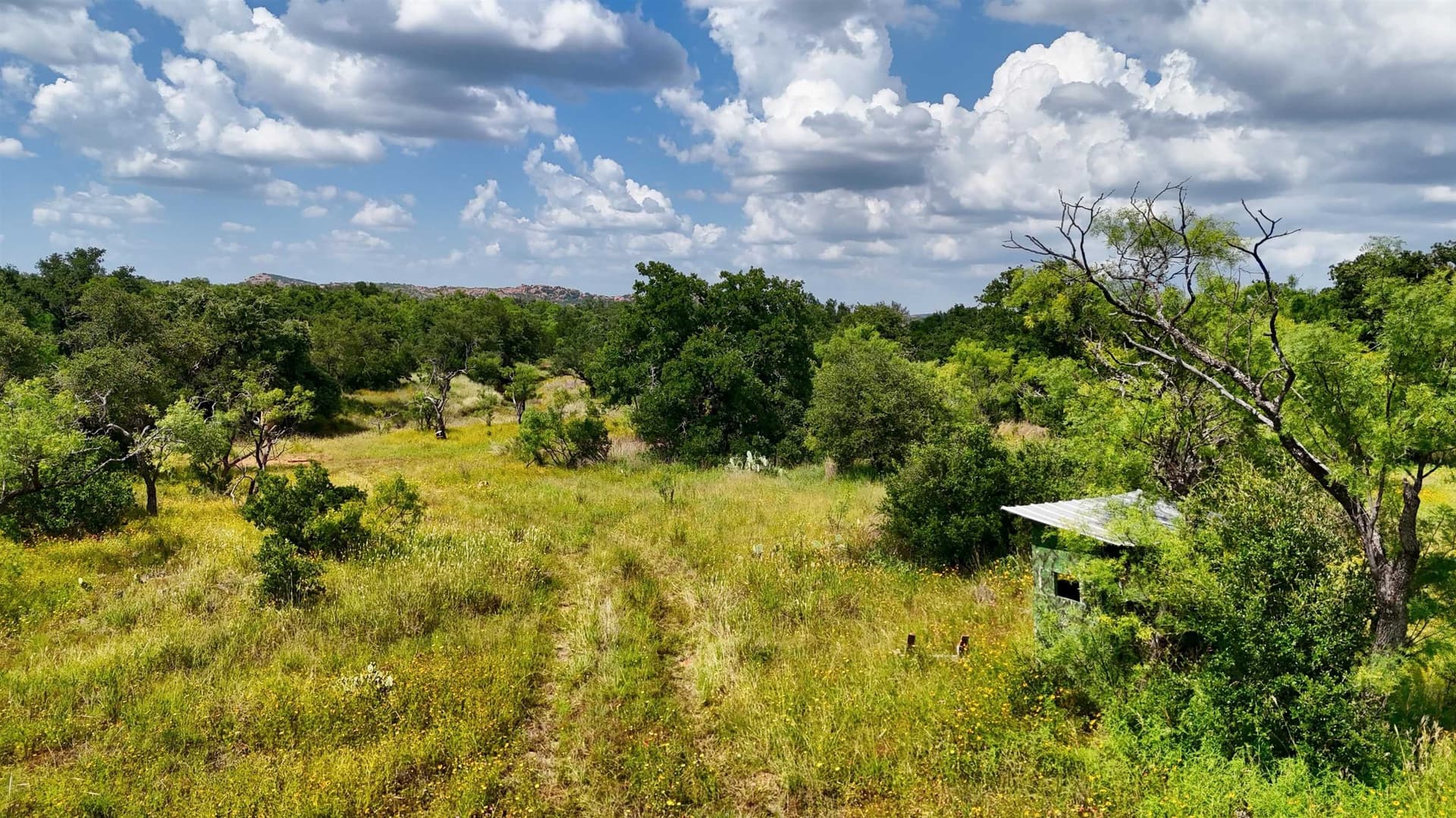 14.6 acres in Mason County gallery image 4