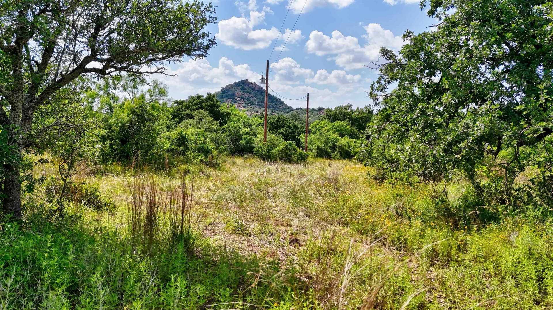 14.6 acres in Mason County - photo 13