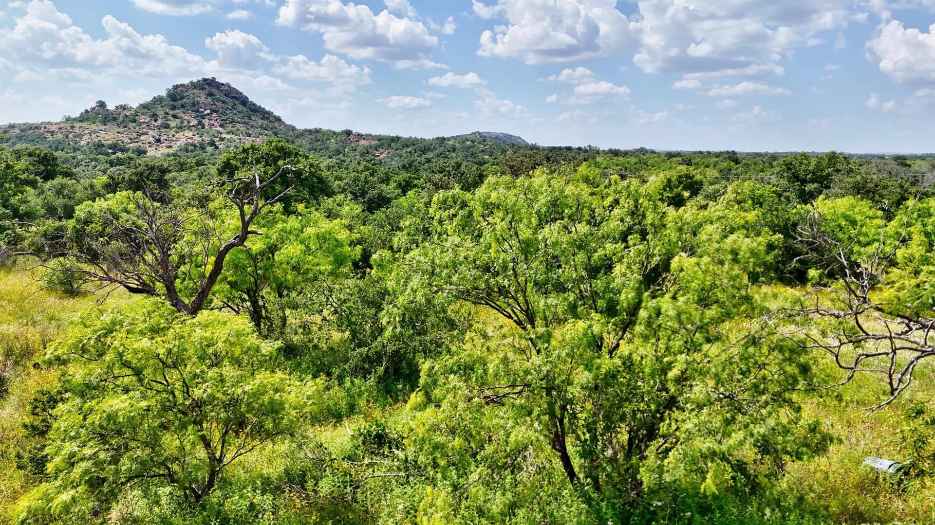 14.6 acres in Mason County