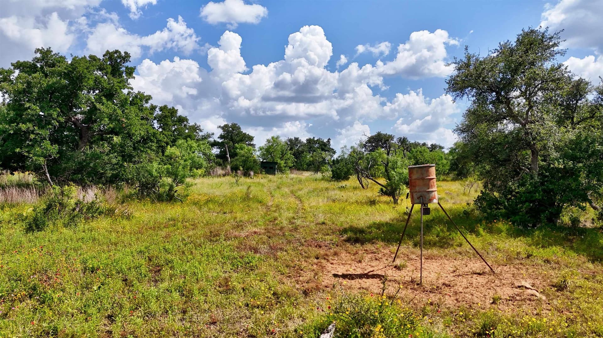 14.6 acres in Mason County - photo 11