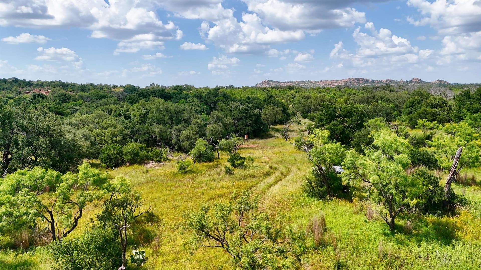 14.6 acres in Mason County gallery image 2