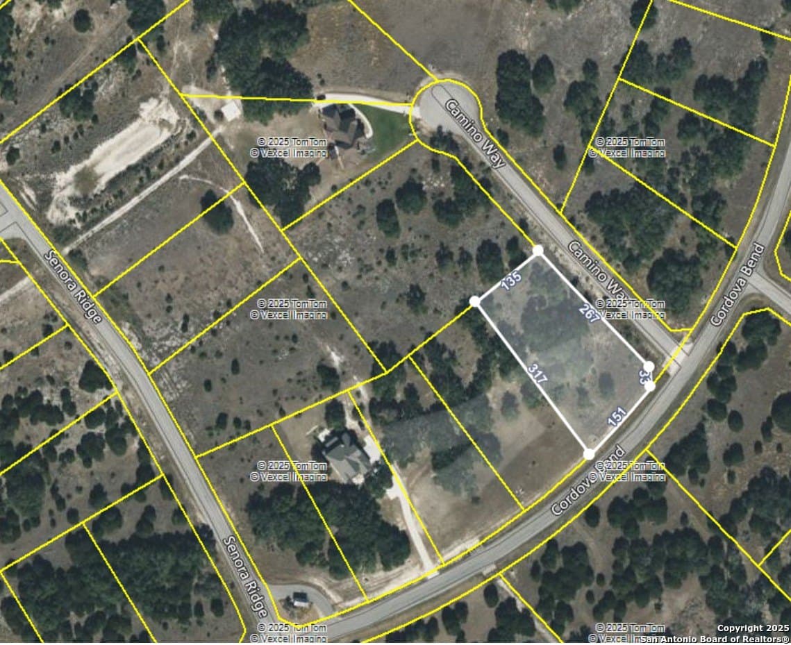 1.06 acres in Comal County gallery image 3