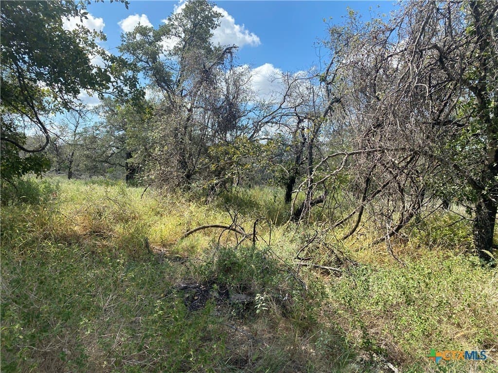 6.41 acres in Medina County gallery image 4