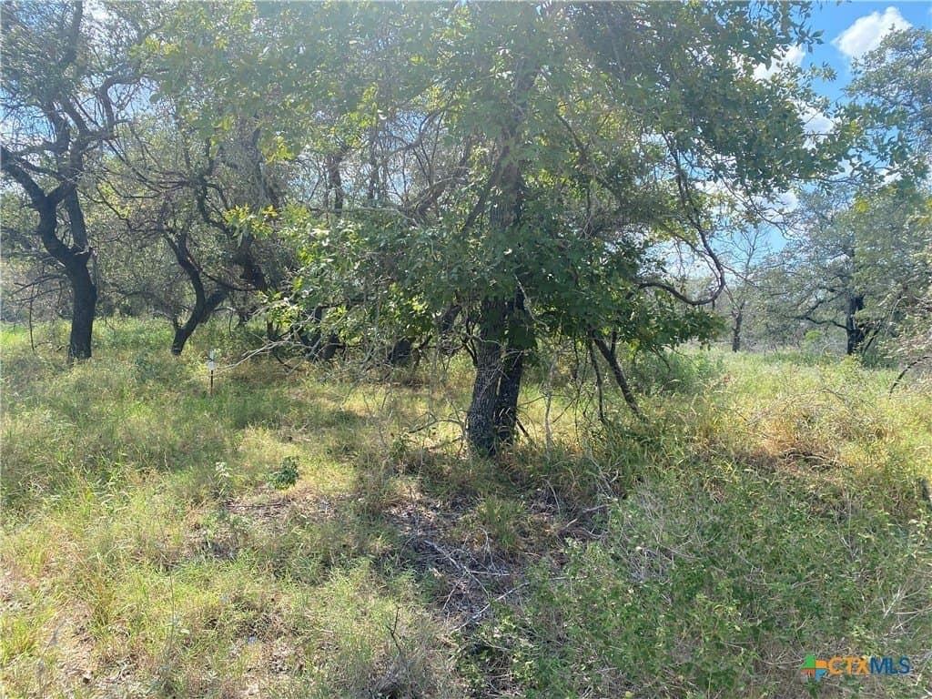 6.41 acres in Medina County gallery image 3