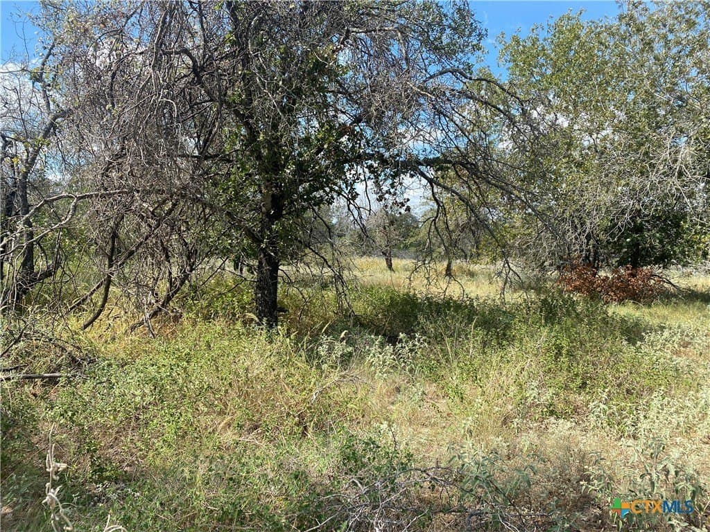 6.41 acres in Medina County featured view