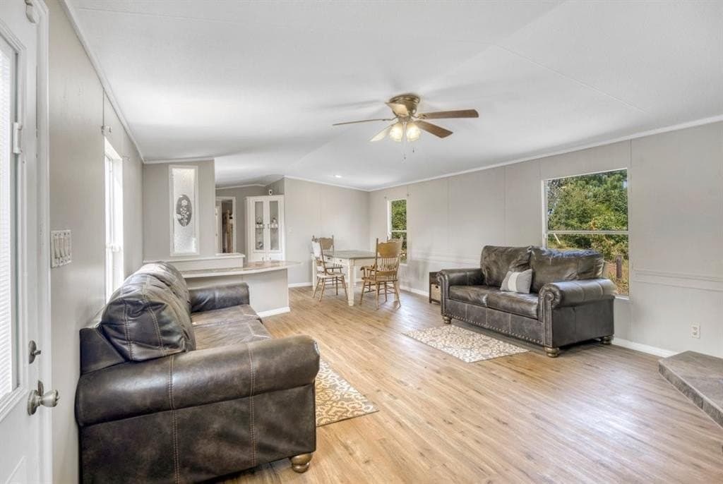 10 acres in Anderson County gallery image 3