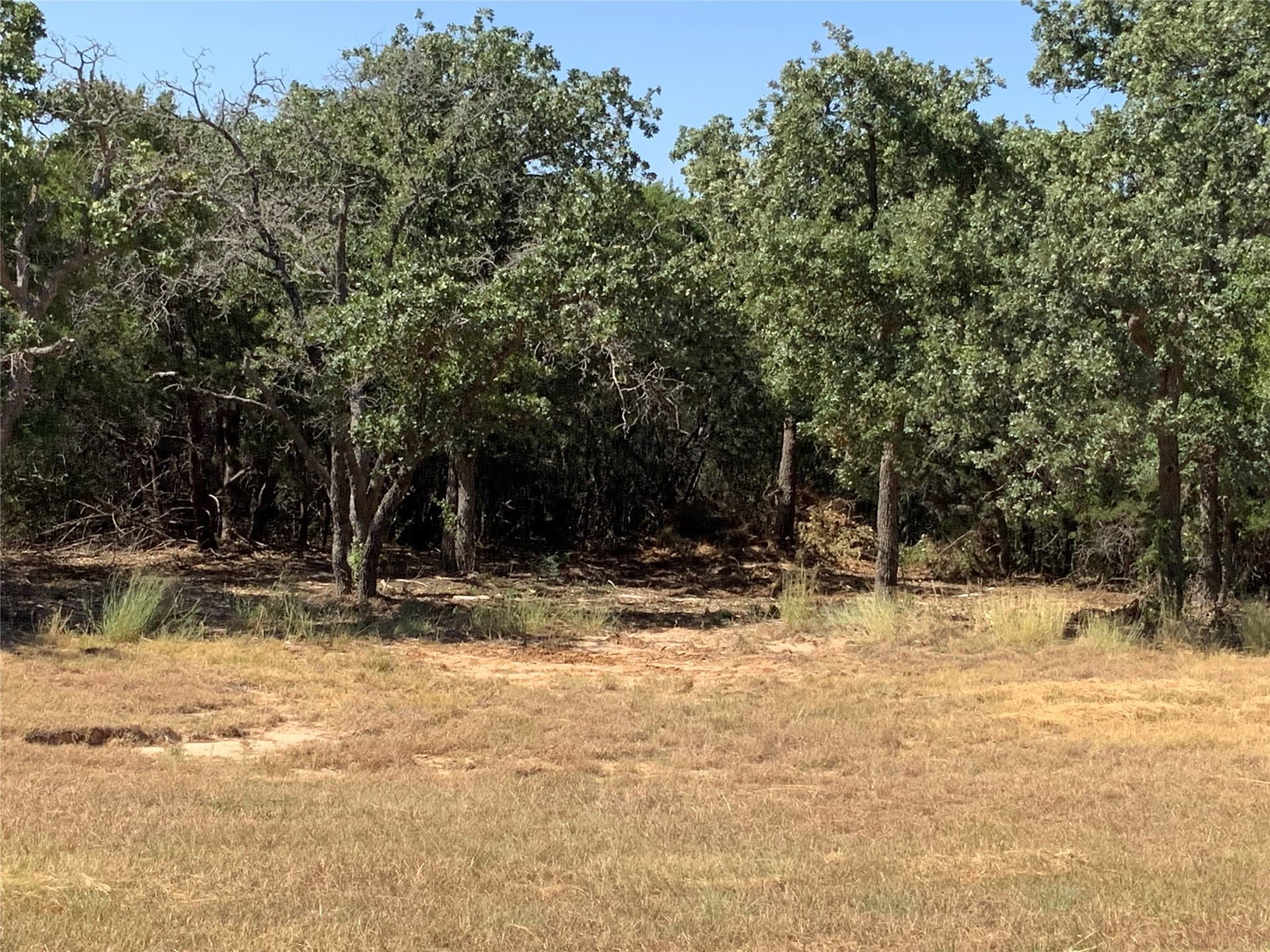 29.55 acres in Hood County - photo 16