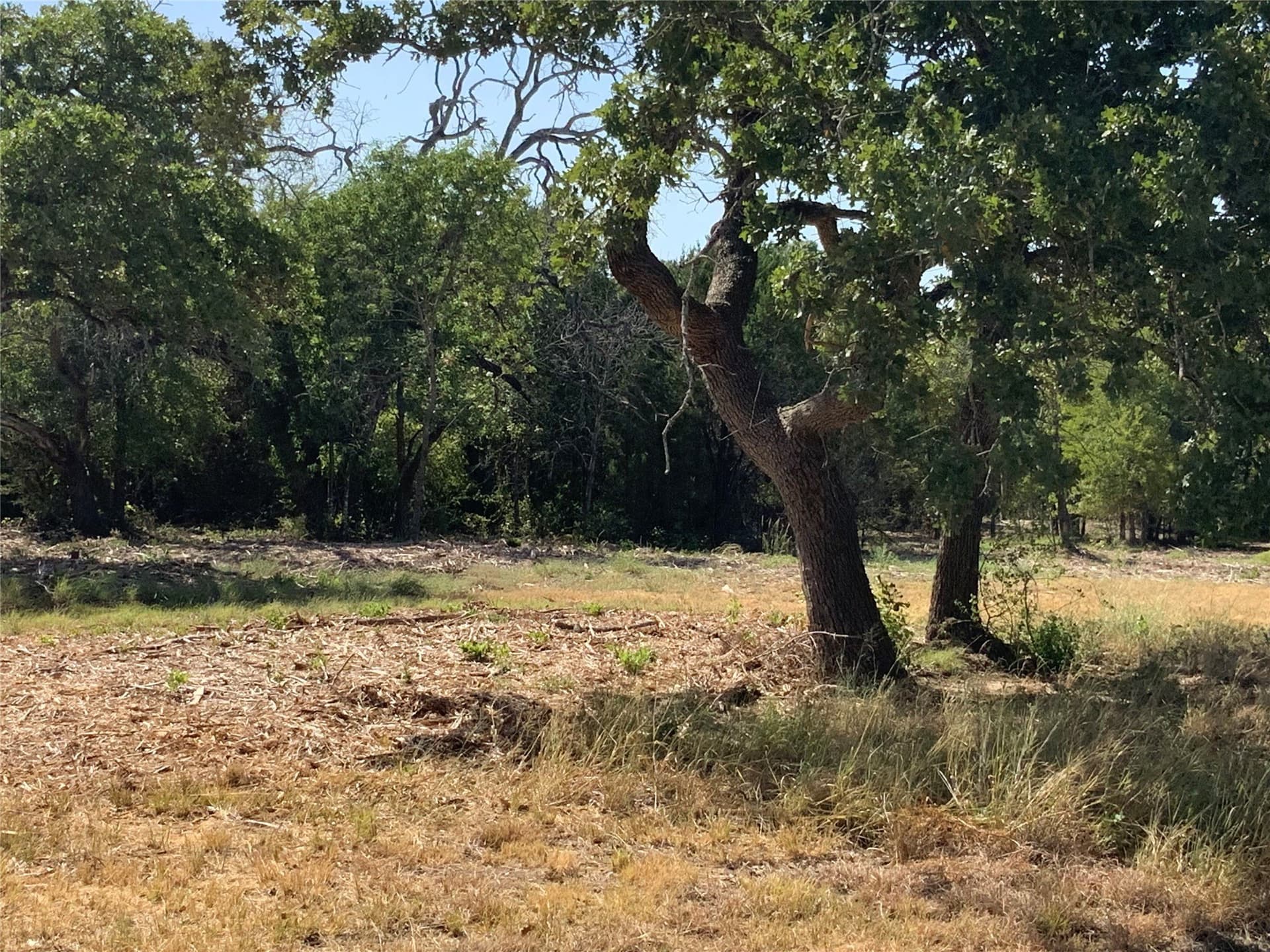 29.55 acres in Hood County - photo 15