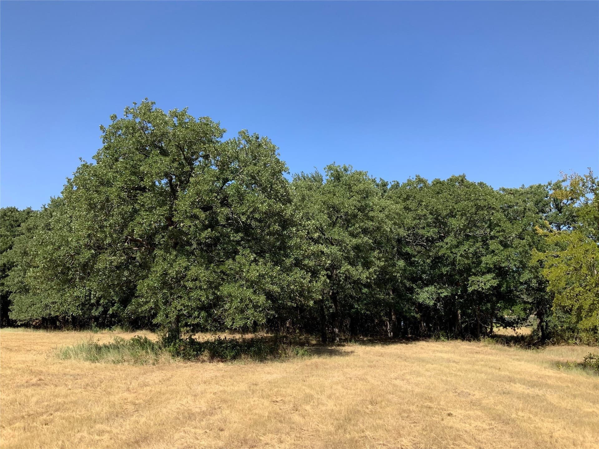 29.55 acres in Hood County - photo 12