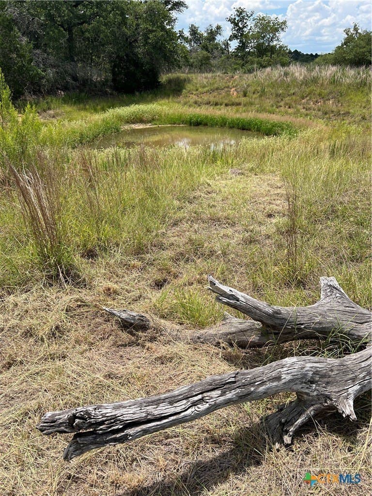 20 acres in Guadalupe County - photo 36