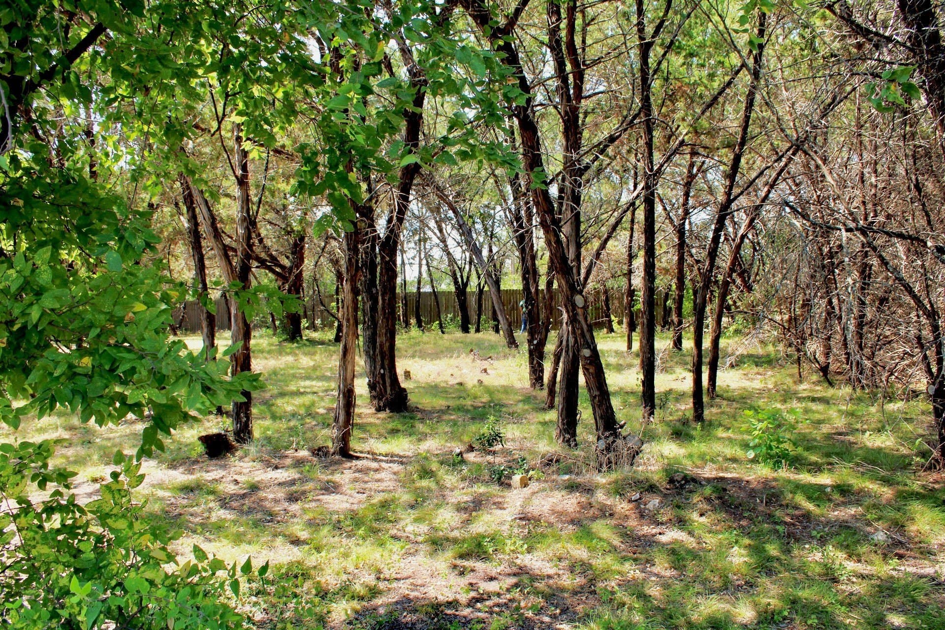 0.61 acres in Johnson County - photo 21