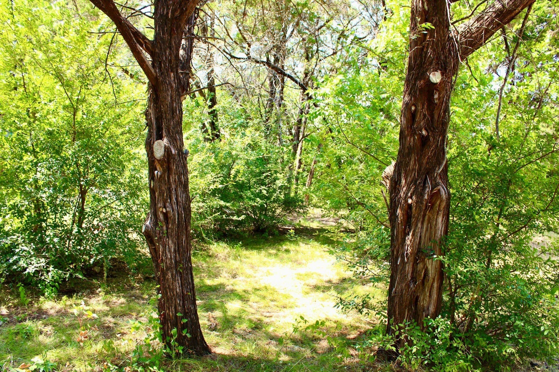 0.61 acres in Johnson County - photo 10