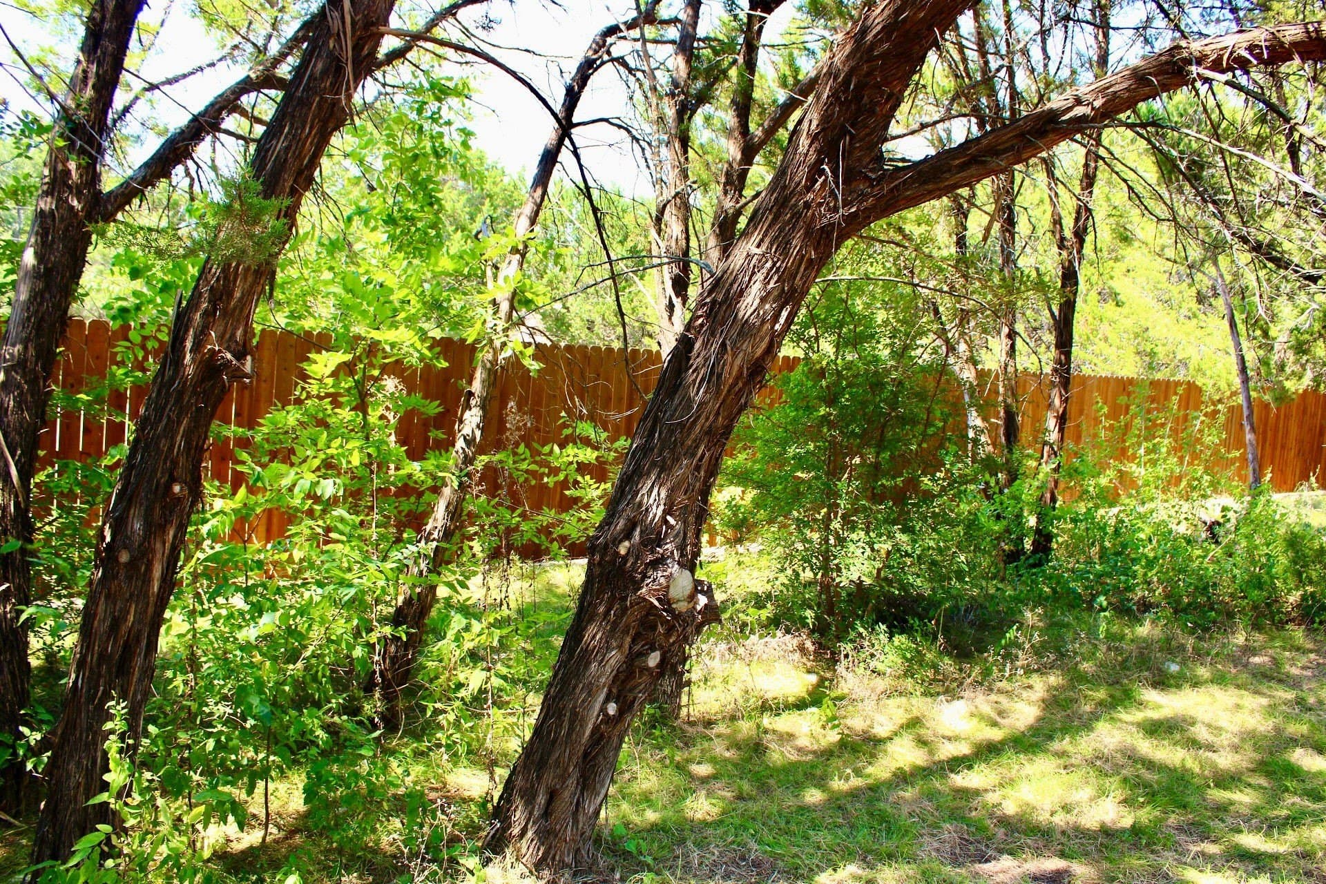 0.61 acres in Johnson County - photo 8