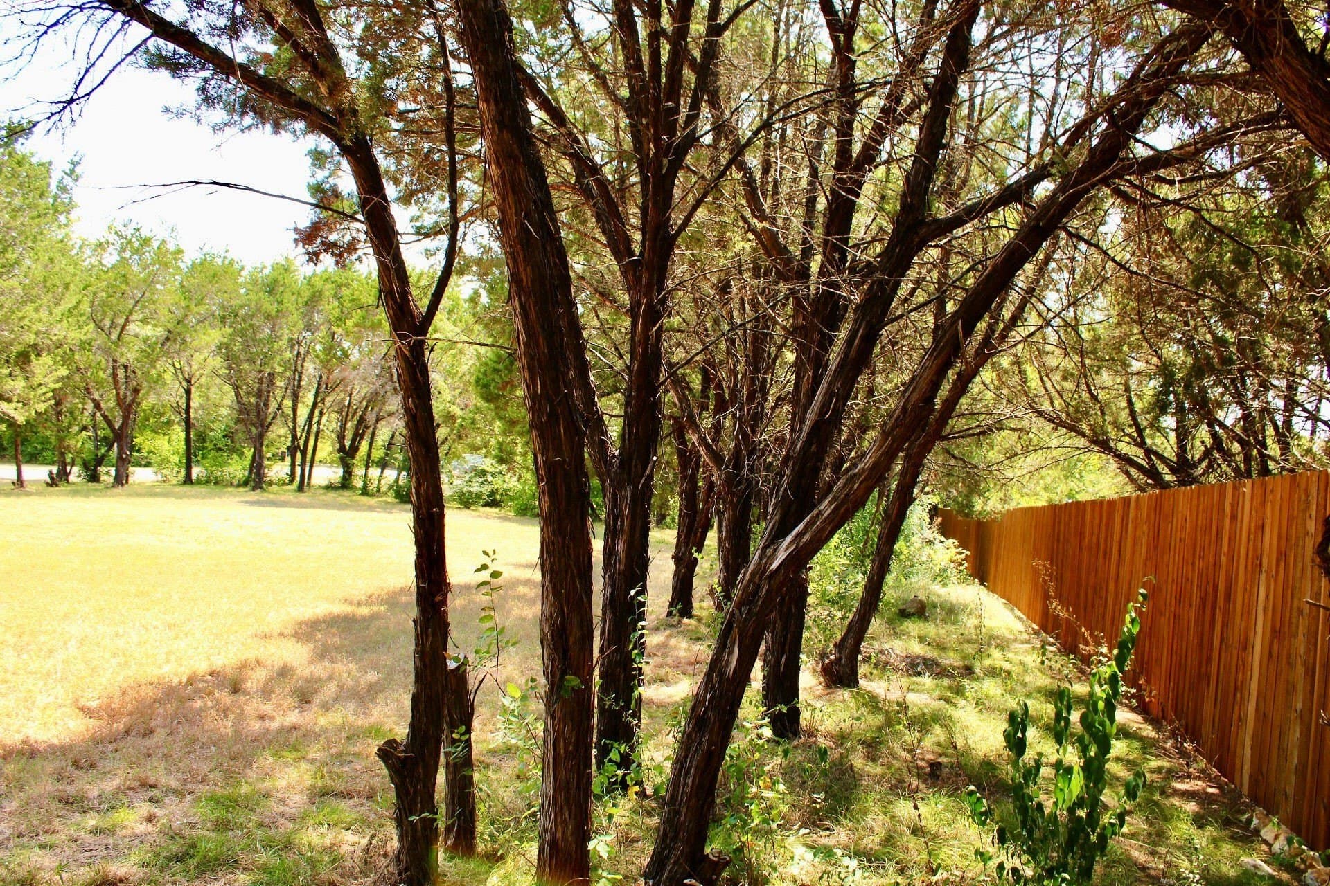 0.61 acres in Johnson County - photo 5