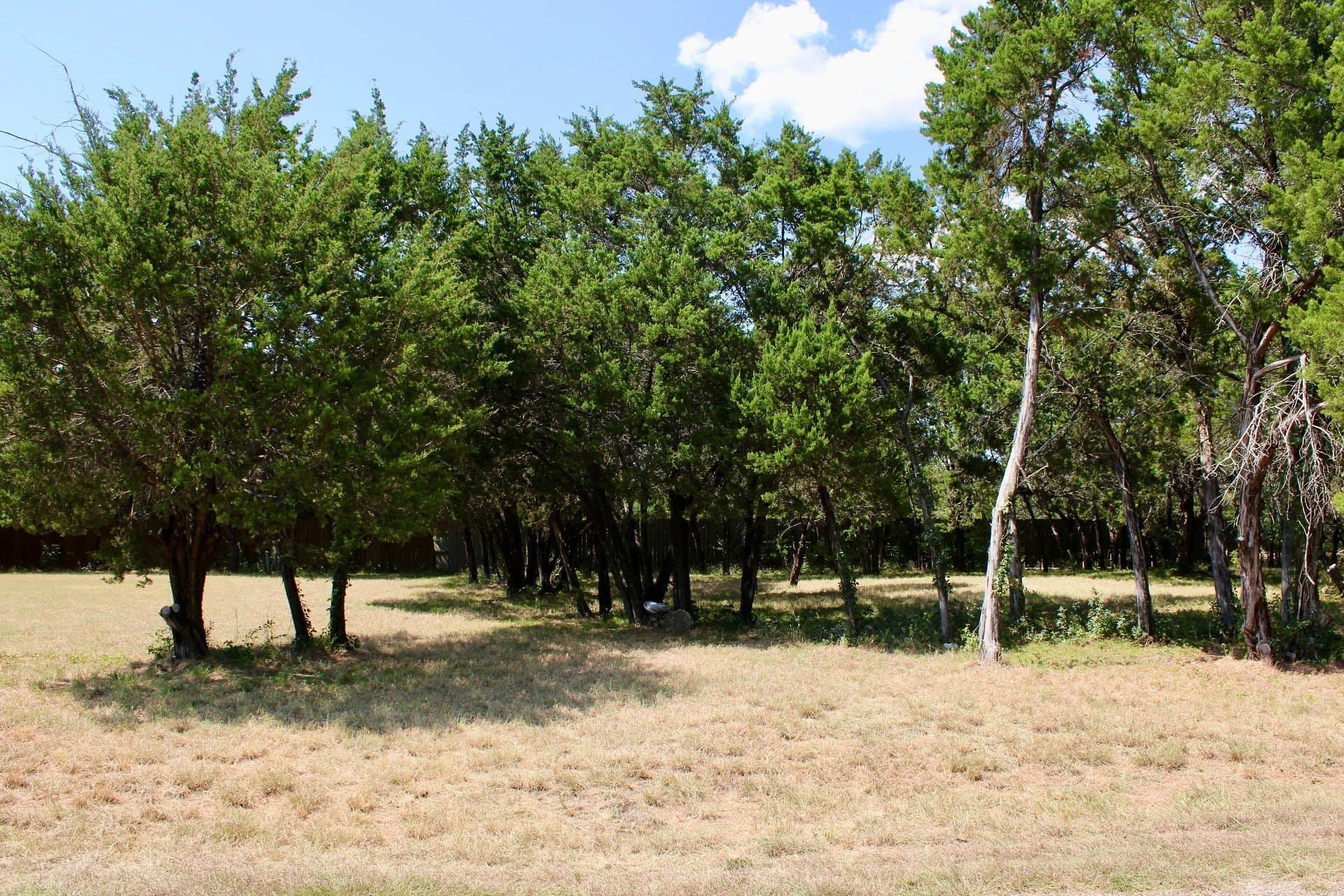 0.61 acres in Johnson County - photo 16