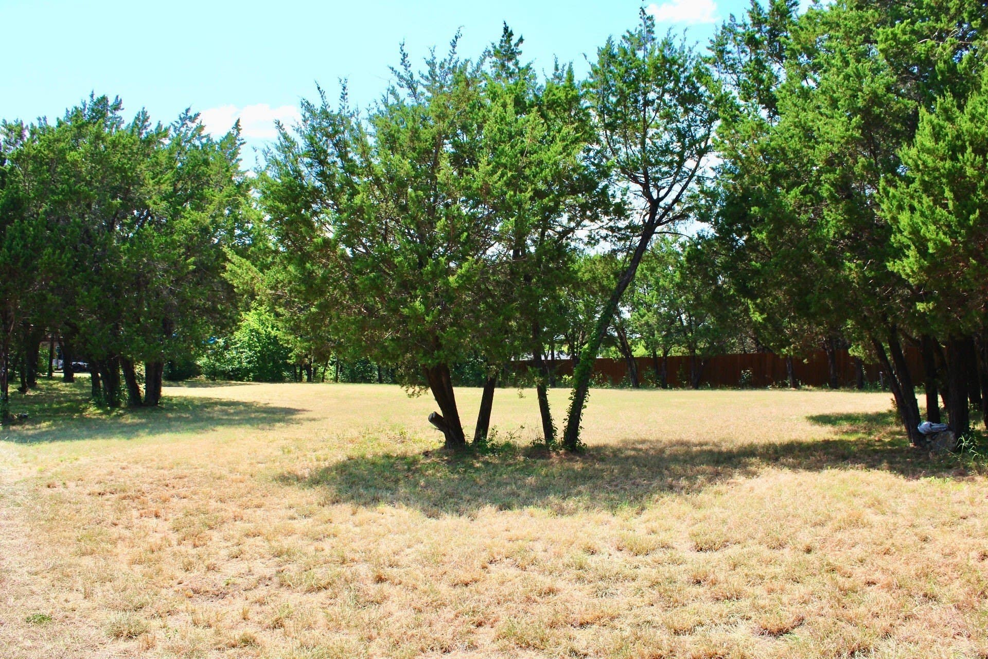 0.61 acres in Johnson County - photo 17