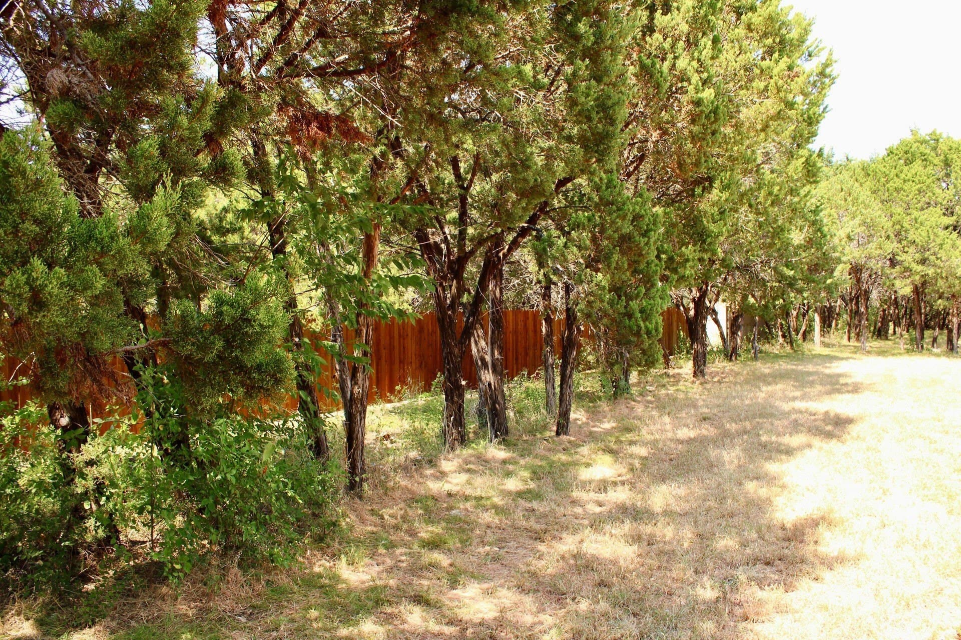 0.61 acres in Johnson County - photo 6