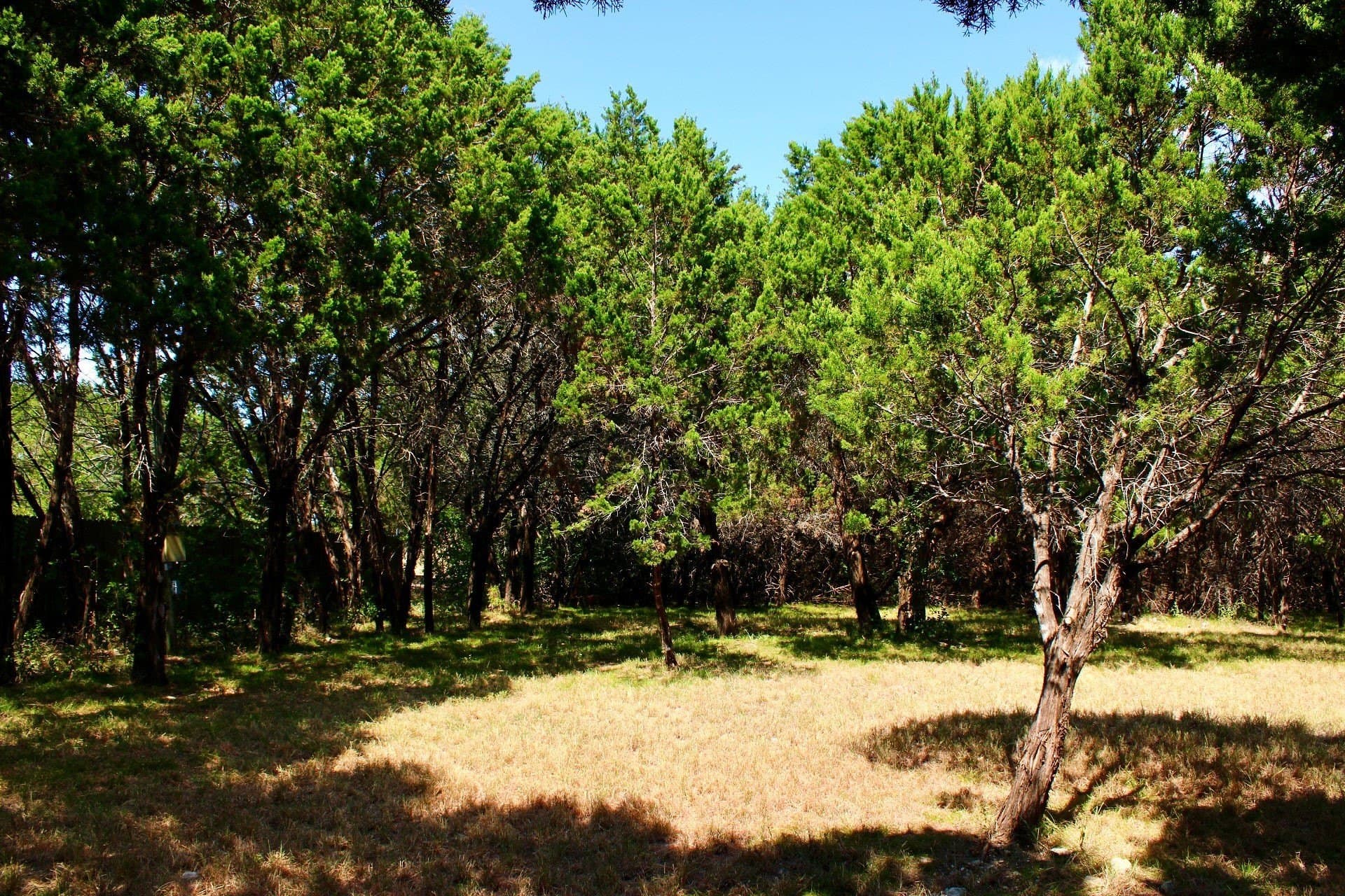 0.61 acres in Johnson County - photo 3