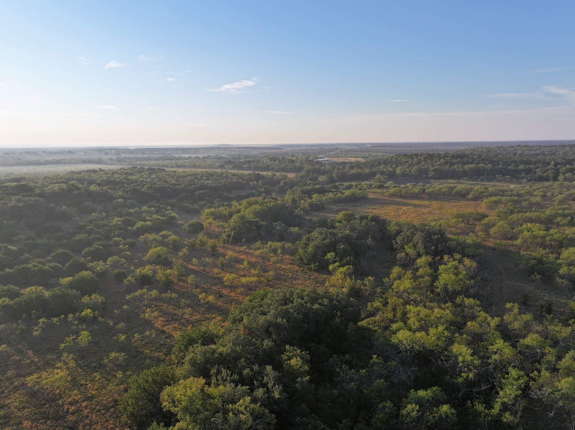 224.2 acres in Eastland County - photo 21