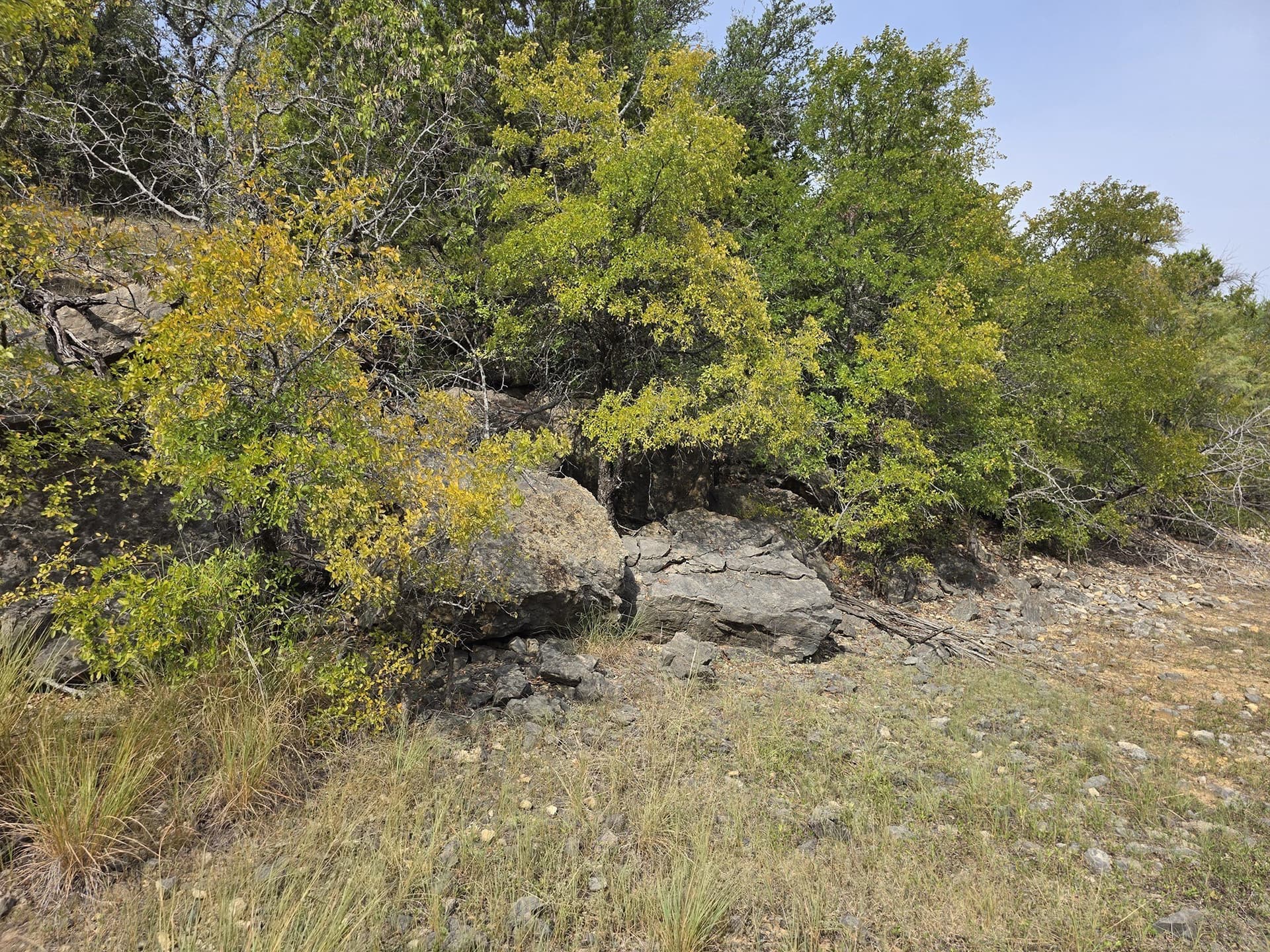 224.2 acres in Eastland County - photo 27