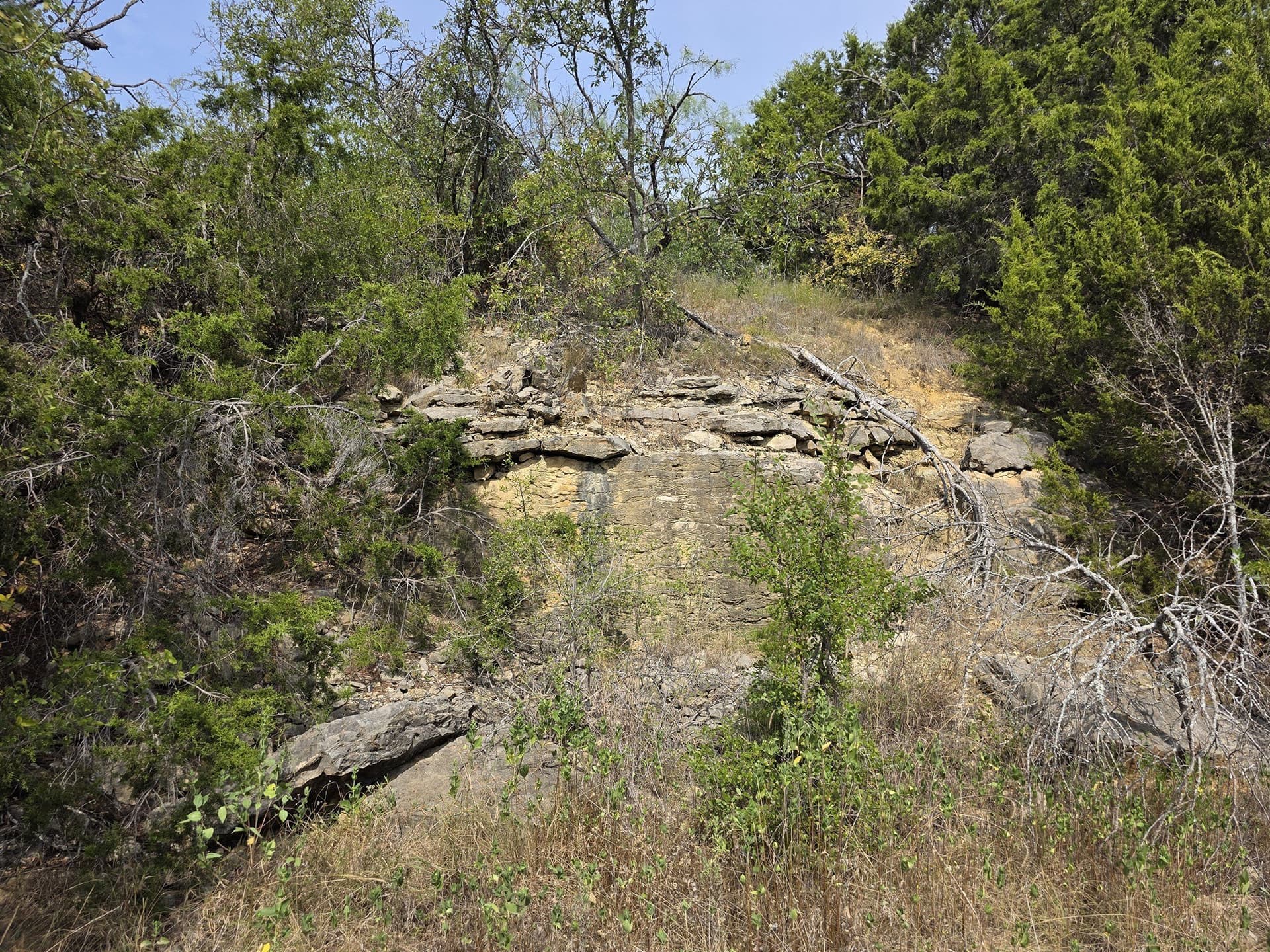 224.2 acres in Eastland County - photo 31