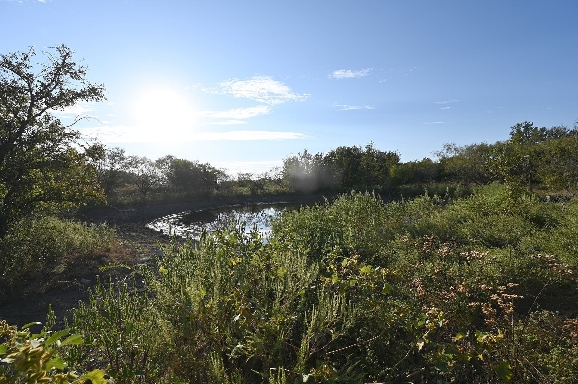 224.2 acres in Eastland County - photo 24