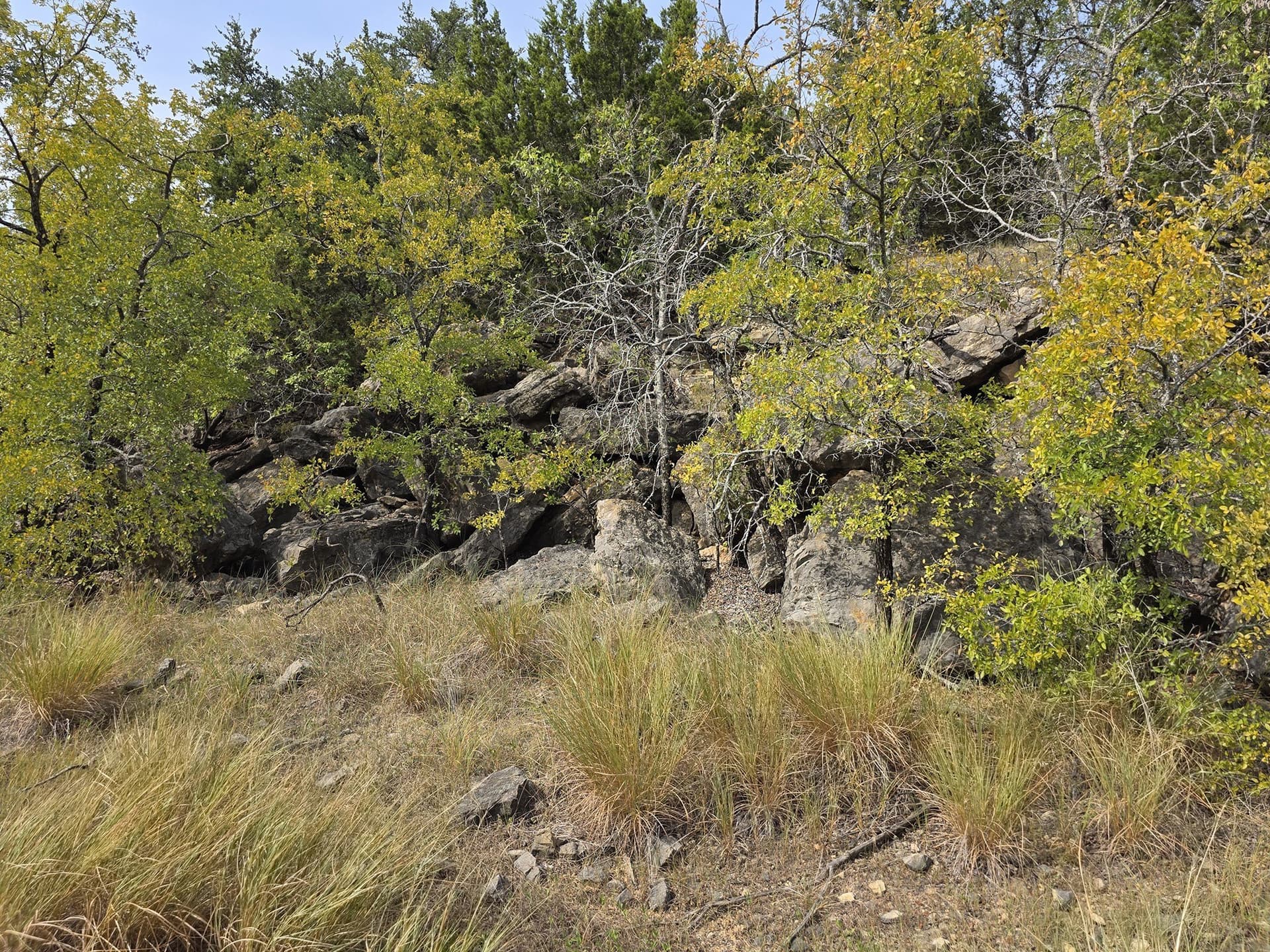 224.2 acres in Eastland County - photo 32