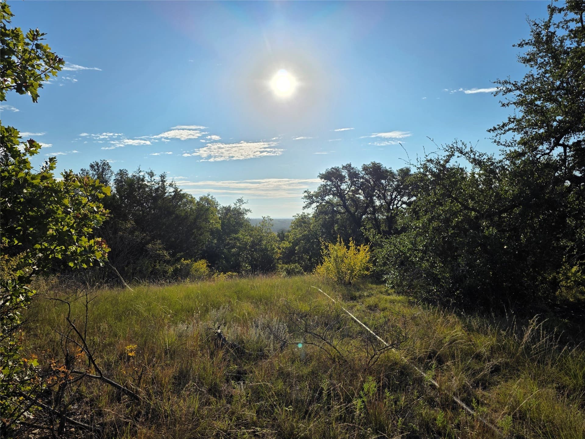 224.2 acres in Eastland County - photo 7
