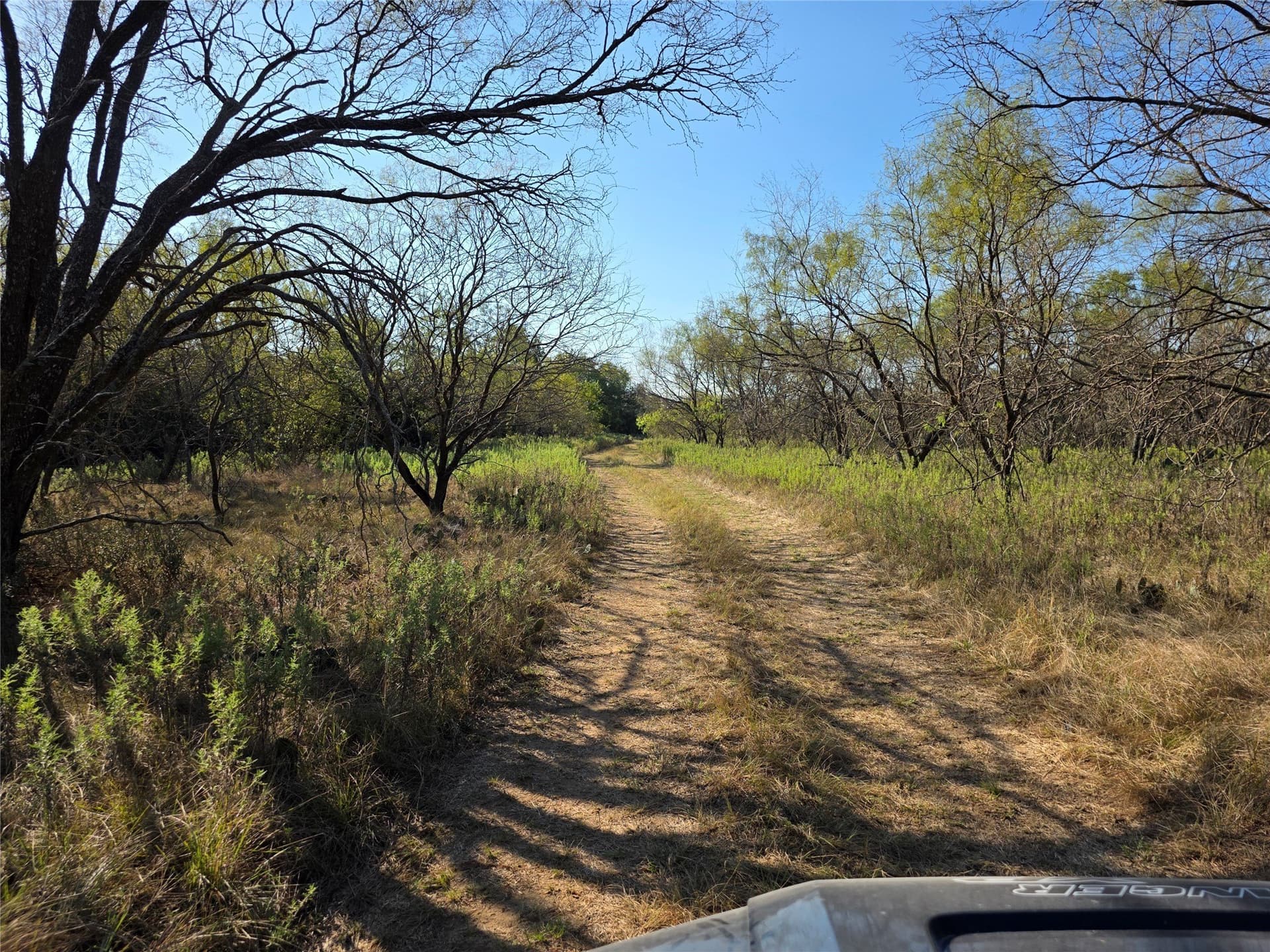 224.2 acres in Eastland County - photo 15