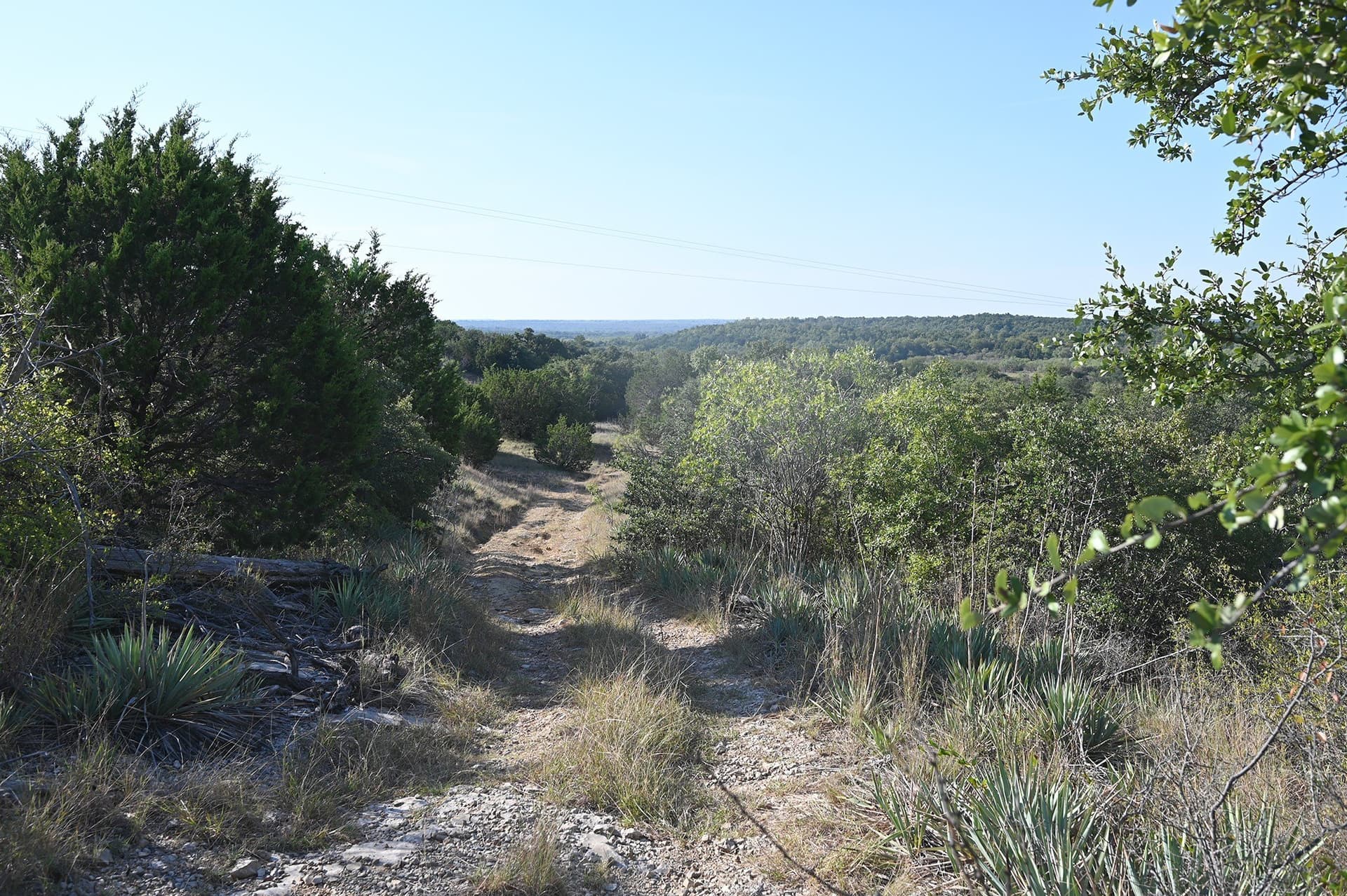 224.2 acres in Eastland County - photo 4