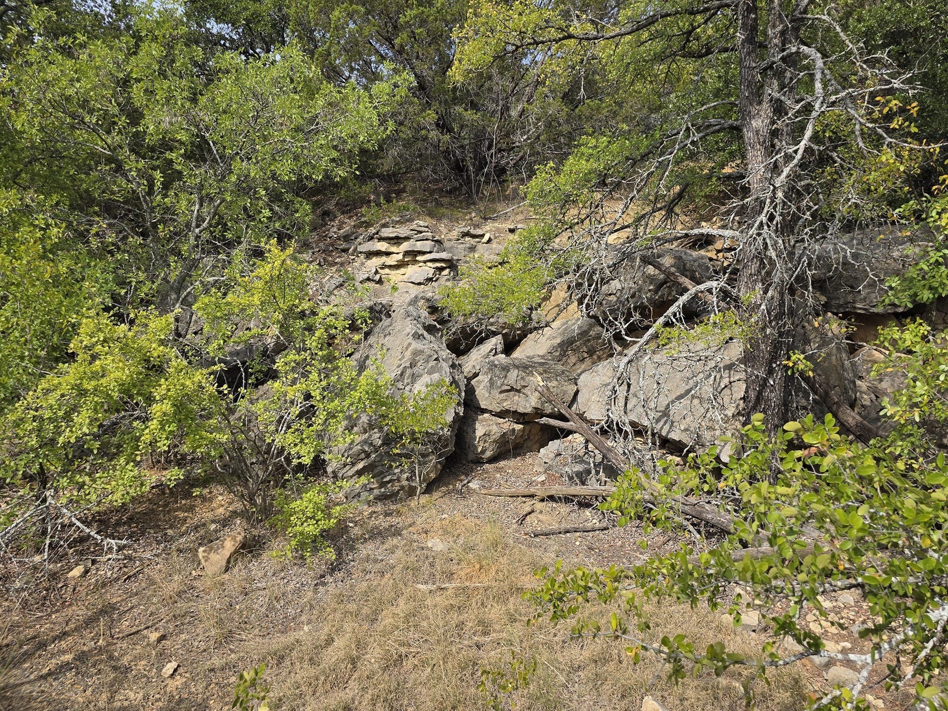 224.2 acres in Eastland County - photo 26