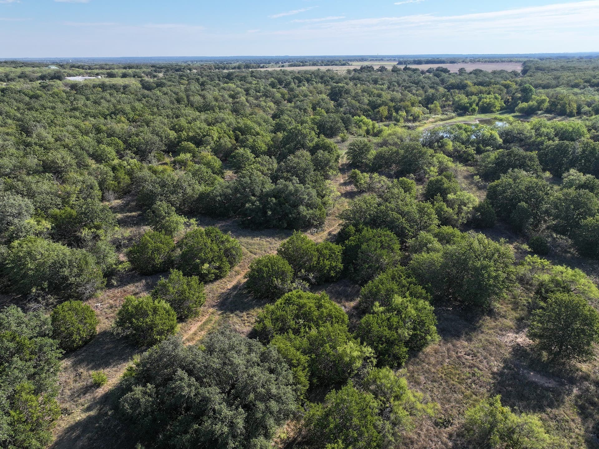 224.2 acres in Eastland County - photo 23
