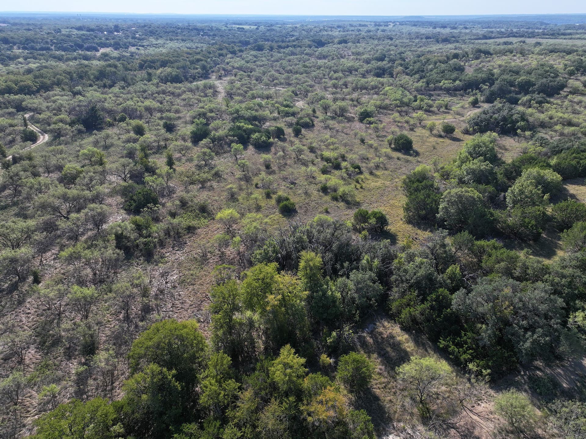 224.2 acres in Eastland County - photo 6