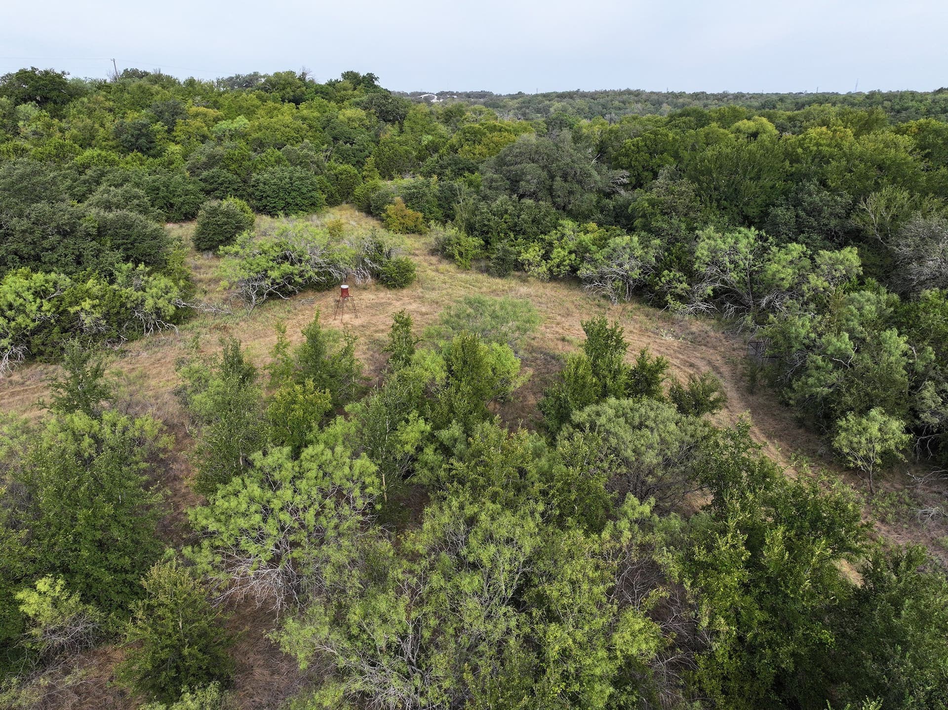 224.2 acres in Eastland County - photo 19