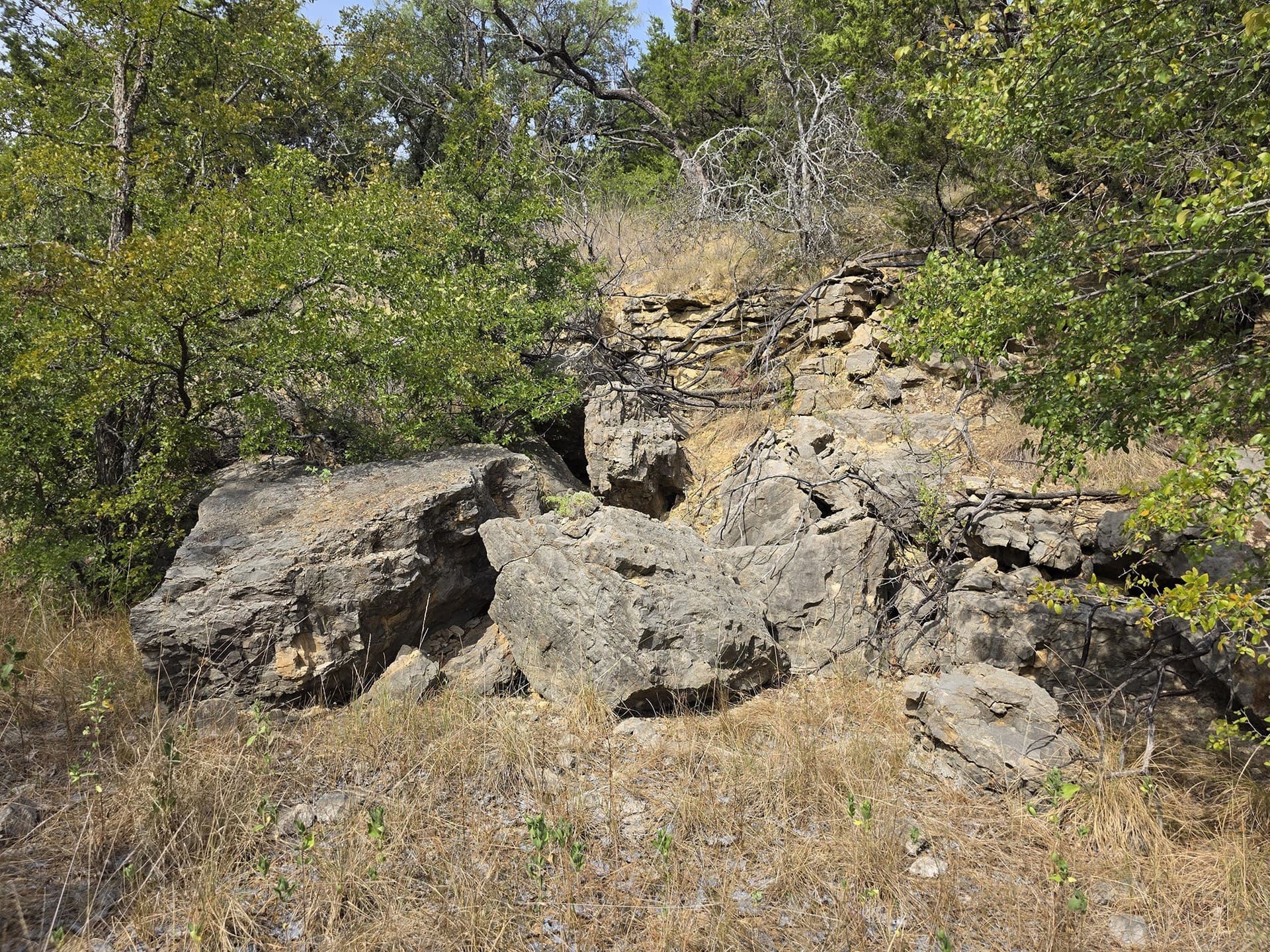 224.2 acres in Eastland County - photo 25