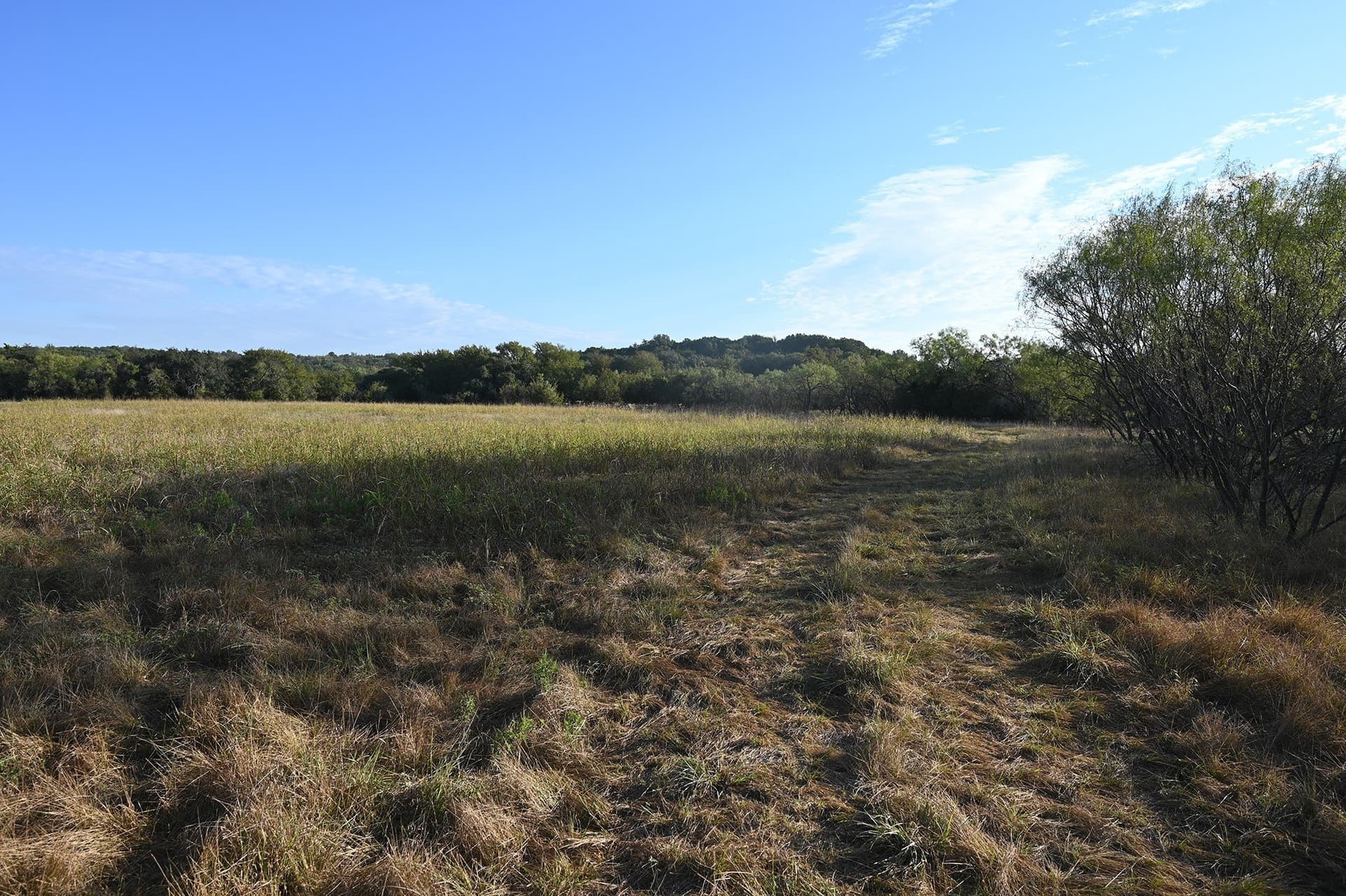 224.2 acres in Eastland County - photo 3