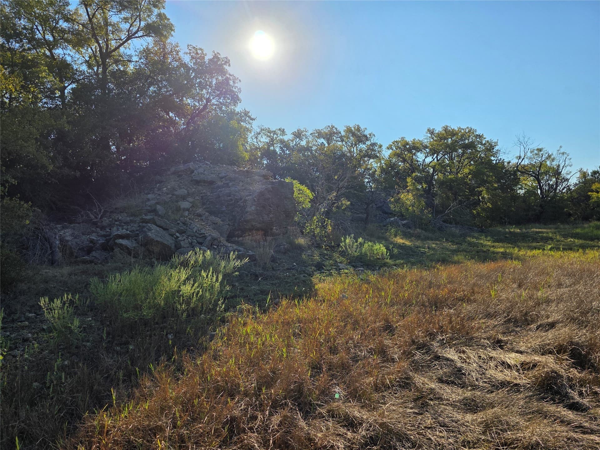 224.2 acres in Eastland County - photo 18