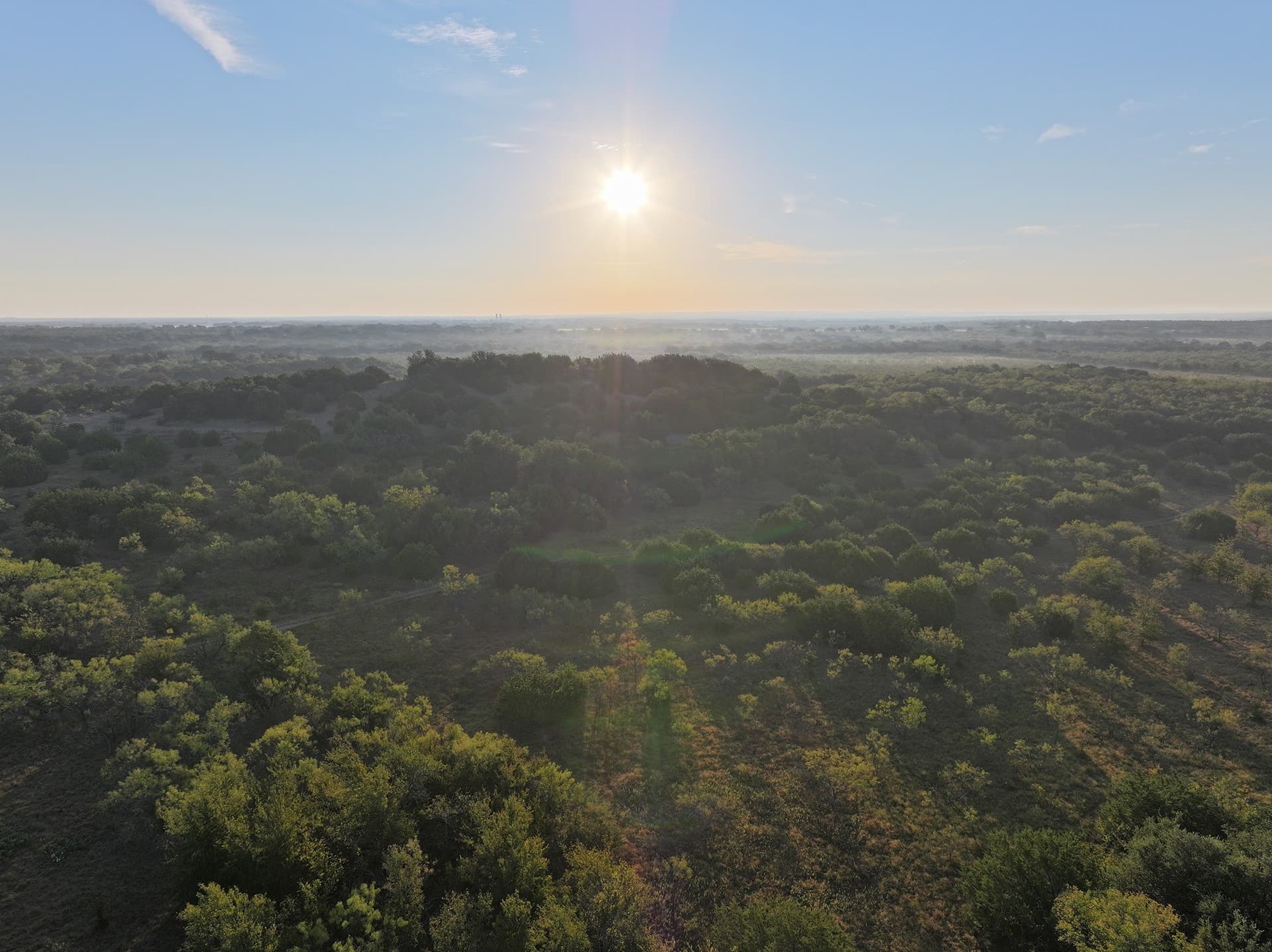224.2 acres in Eastland County - photo 2