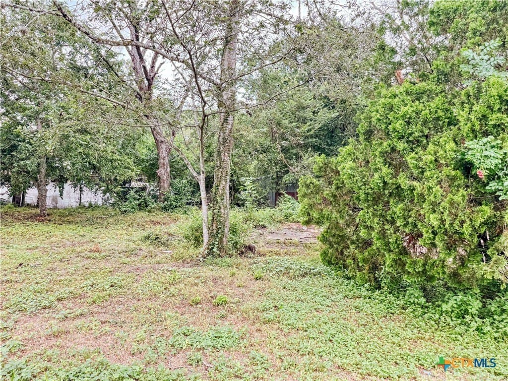 0.1 acres in Gonzales County gallery image 2