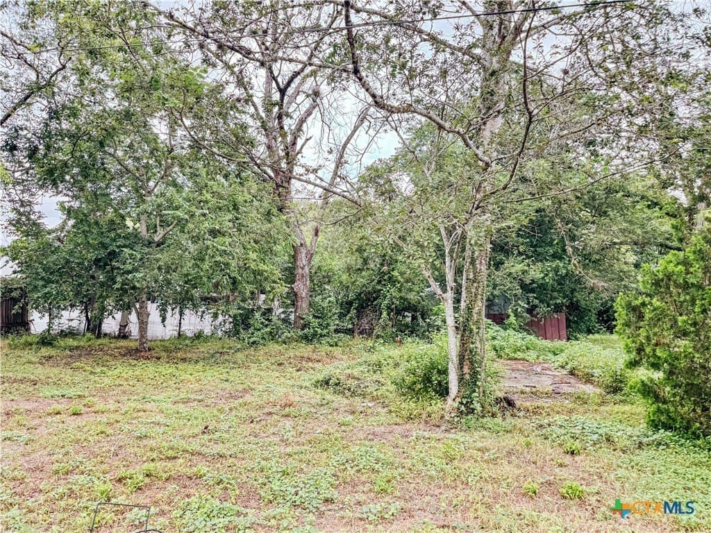0.1 acres in Gonzales County gallery image 3