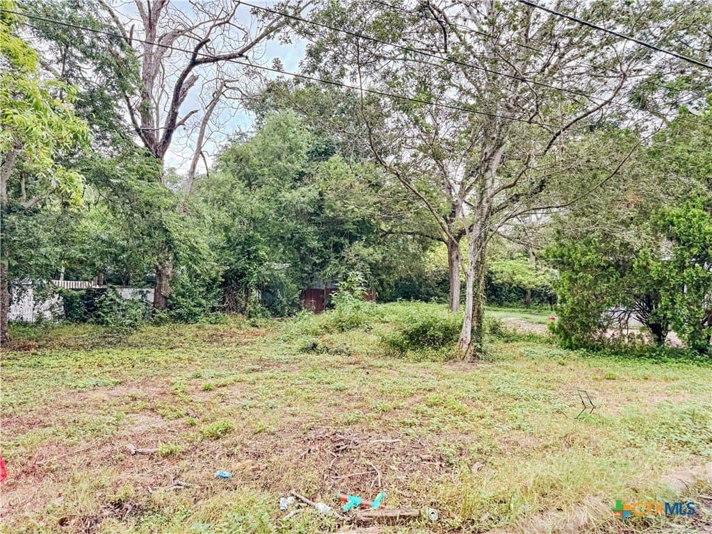 0.1 acres in Gonzales County gallery image 4