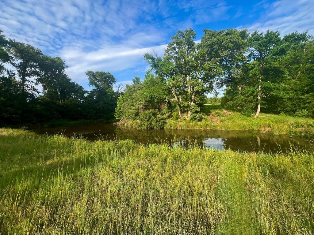 4.04 acres in Henderson County gallery image 3