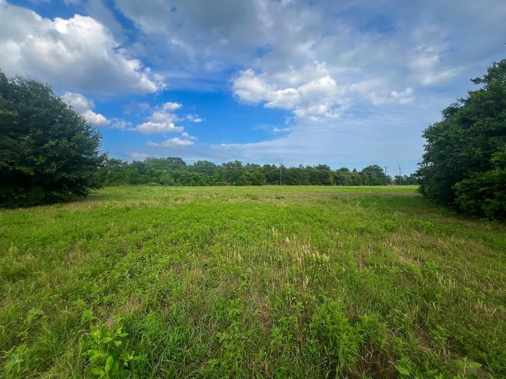 4.04 acres in Henderson County gallery image 4