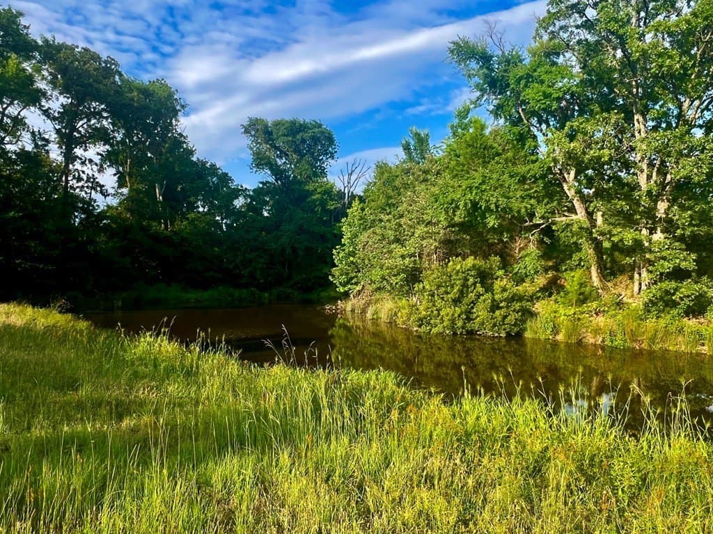 4.04 acres in Henderson County gallery image 2