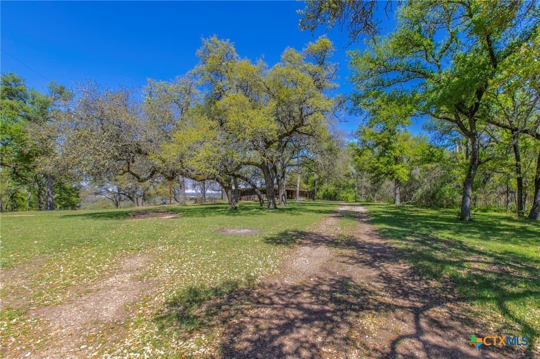 80.35 acres in Milam County - photo 25