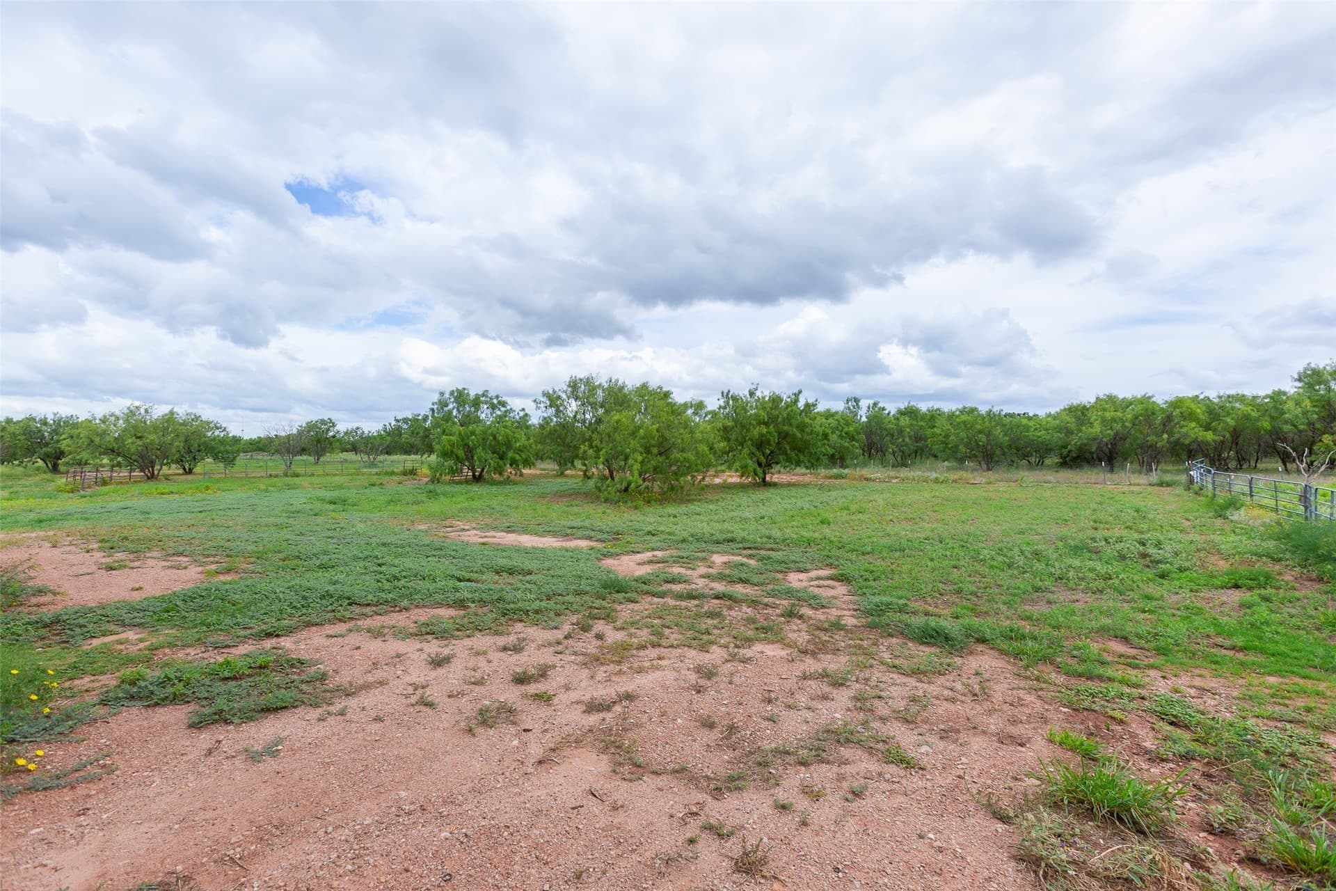 10.43 acres in Taylor County - photo 32
